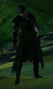 Veteran Risen Acolyte of Lyssa.jpg