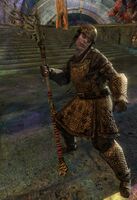 Veteran Risen Contender (alt).jpg
