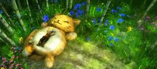 Comfy Cat Chair banner.jpg