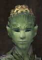 Exclusive hair - sylvari male 17.jpg