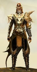 Funerary armor (medium) human male front.jpg