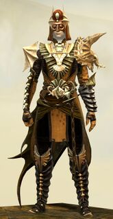 Funerary armor (medium) human male front.jpg