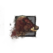 Juvenile Boar.png