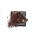 Juvenile Boar.png