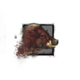 Juvenile Boar.png