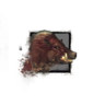 Juvenile Boar.png