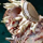 Prank a Risen Giant.png