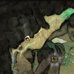 Rock Collector (Firestone 44 map).jpg