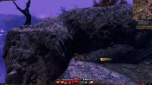 Skyscale Egg 8.jpg
