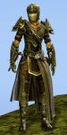 Sylvari male thief.