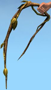 Wisteria.jpg