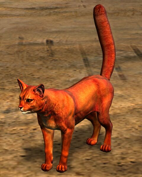 File:Cat (red).jpg
