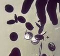 Coins as seen in Hard Boiled.