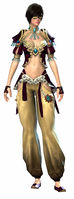 Embroidered armor human female front.jpg