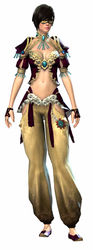 Embroidered armor human female front.jpg
