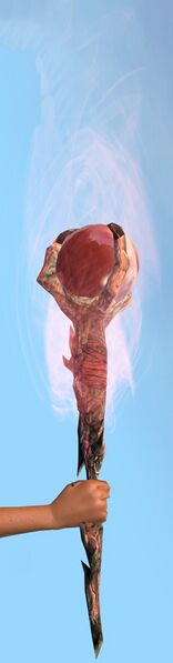 File:Eye of Rodgort.jpg
