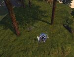 Fantastic Flying Foxes 22 location.jpg