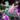 Glimmering Resin Shield.png
