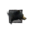 Juvenile Black Bear.png