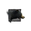 Juvenile Black Bear.png