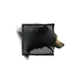 Juvenile Black Bear.png