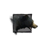 Juvenile Black Bear.png