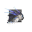 Juvenile Cheetah.png