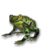 Marsh Frog.png