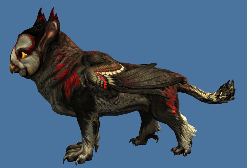 File:Mini Black Griffon Hatchling.jpg