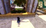 Missing Brood Location 13.jpg