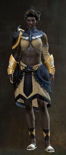 Sanctified armor norn female front.jpg