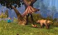 Thumbnail for version as of 23:30, 14 April 2014