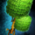 Super Beech Tree.png