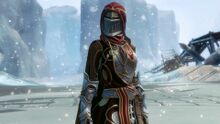 Traveling Knight's Cape and Hood Combo 01.jpg