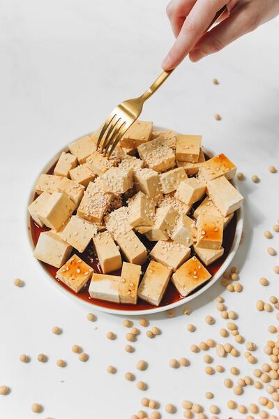 File:User-Caeldom Tofu.jpeg