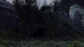 The Dire Boar's den.