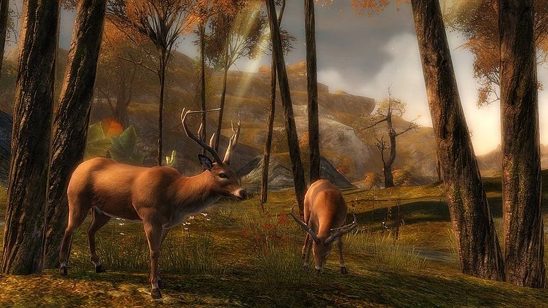 File:2010 May grazing deer.jpg