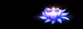 Thumbnail for version as of 19:19, 2 February 2026