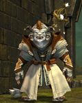 Astral Ward Mage charr male 2.jpg