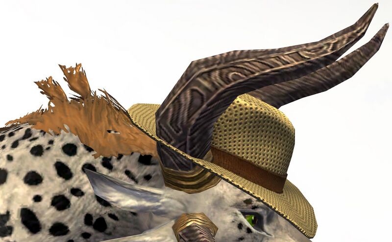 File:Beach Hat charr side.jpg