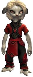 Common Clothing Outfit