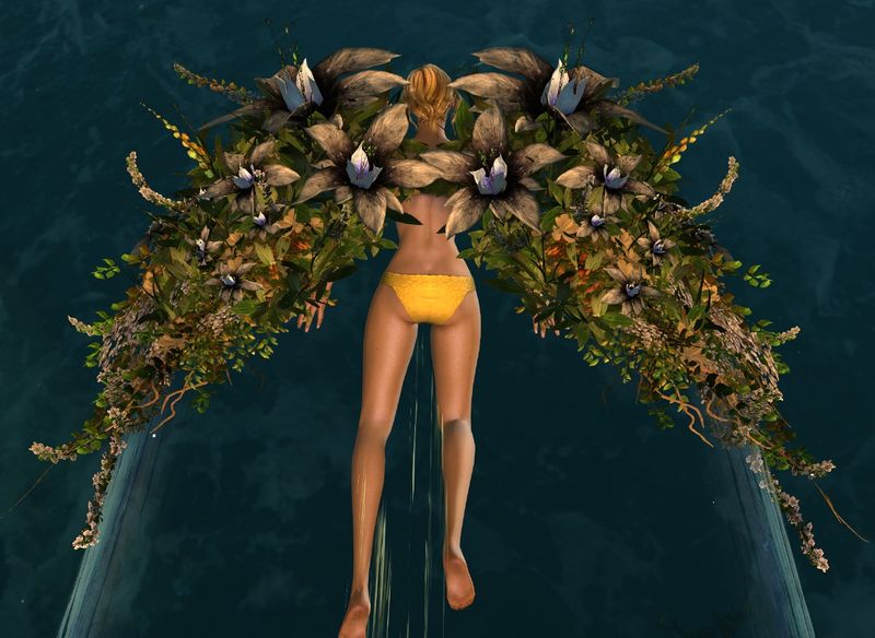 File:Floral Glider.jpg