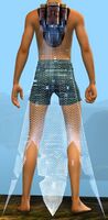 Holo Cape Projector.jpg