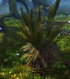 Interesting Flower.jpg