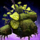 Jungle Bush.png