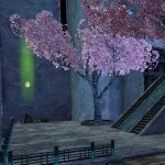 Little Foxes Location 7.jpg