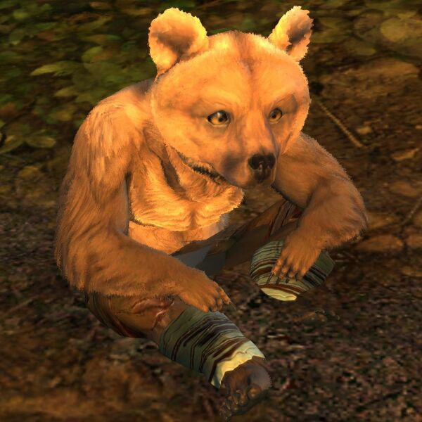 File:Lowland Kodan cub Wildstalker sit.jpg