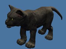 Mini Jaguar Cub.jpg