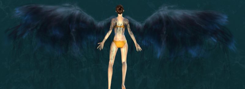File:Nightspeaker Wings Glider.jpg