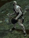 Risen Farmer.jpg